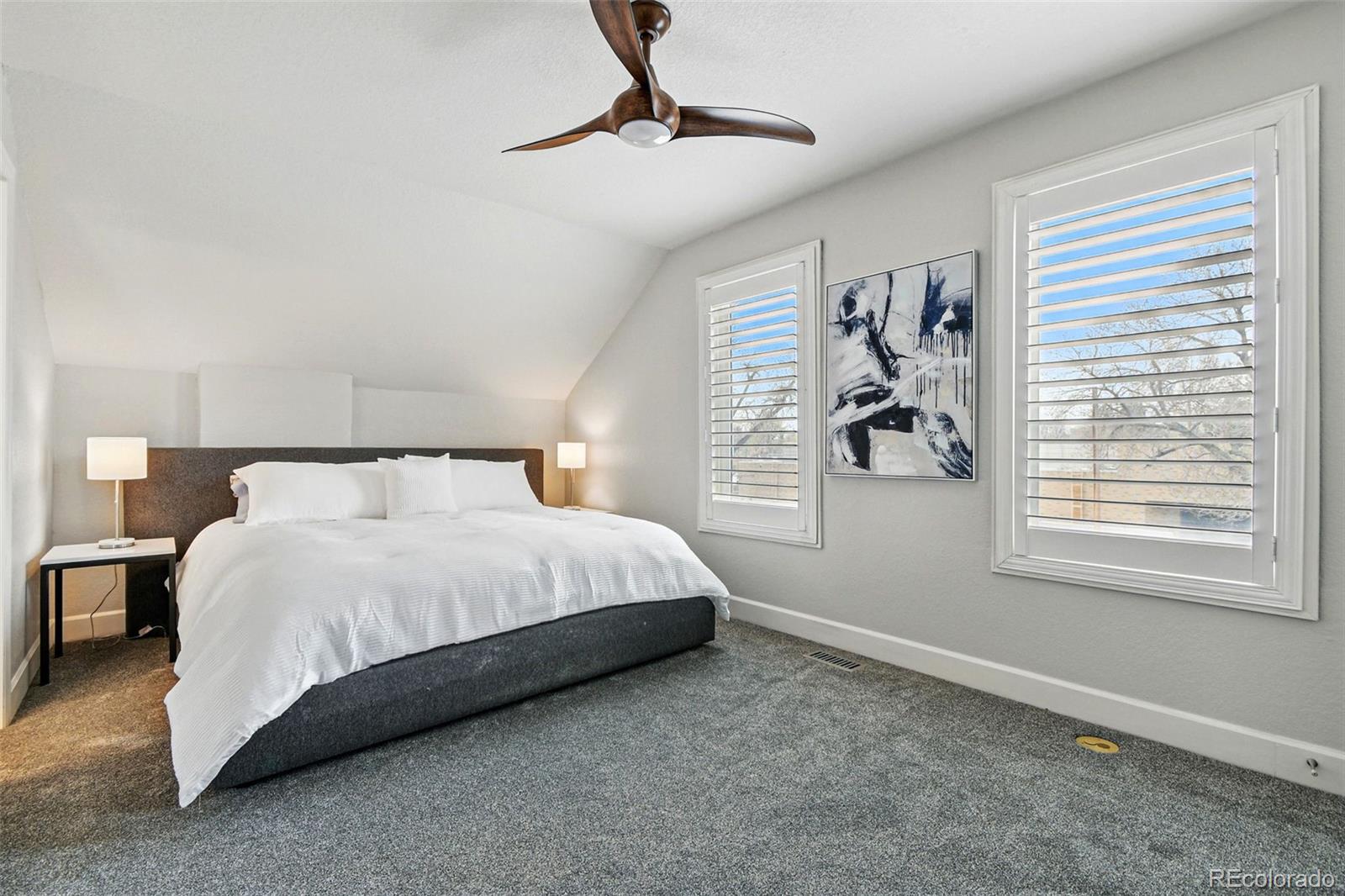 MLS Image #23 for 2716 n columbine street,denver, Colorado
