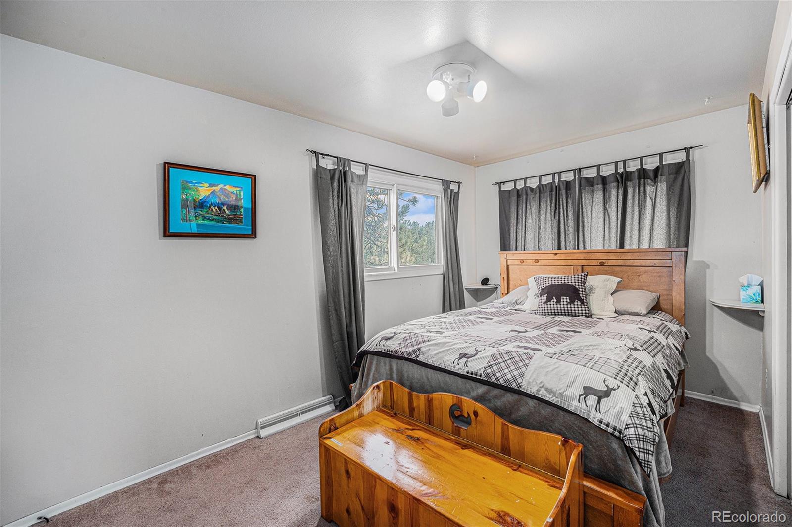 MLS Image #7 for 571  yellow pine drive,bailey, Colorado
