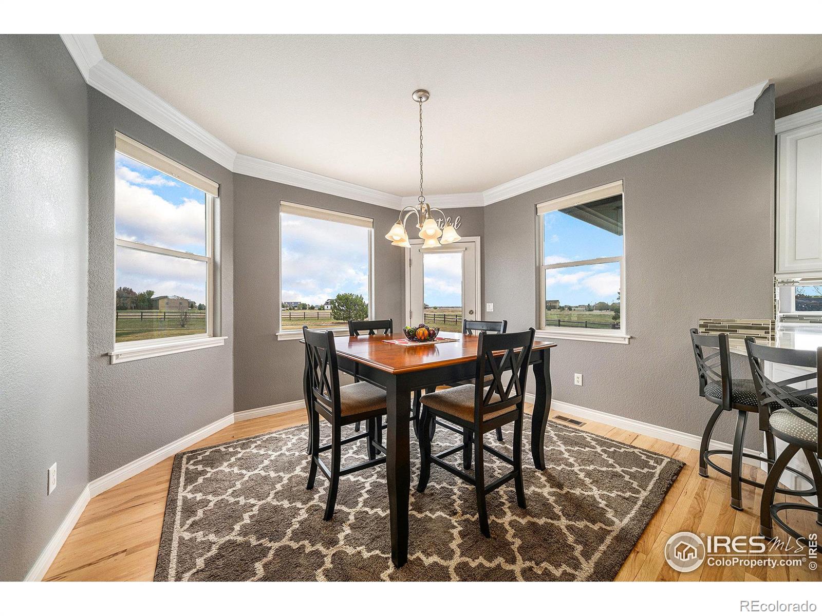 MLS Image #10 for 1133  shelby drive,berthoud, Colorado