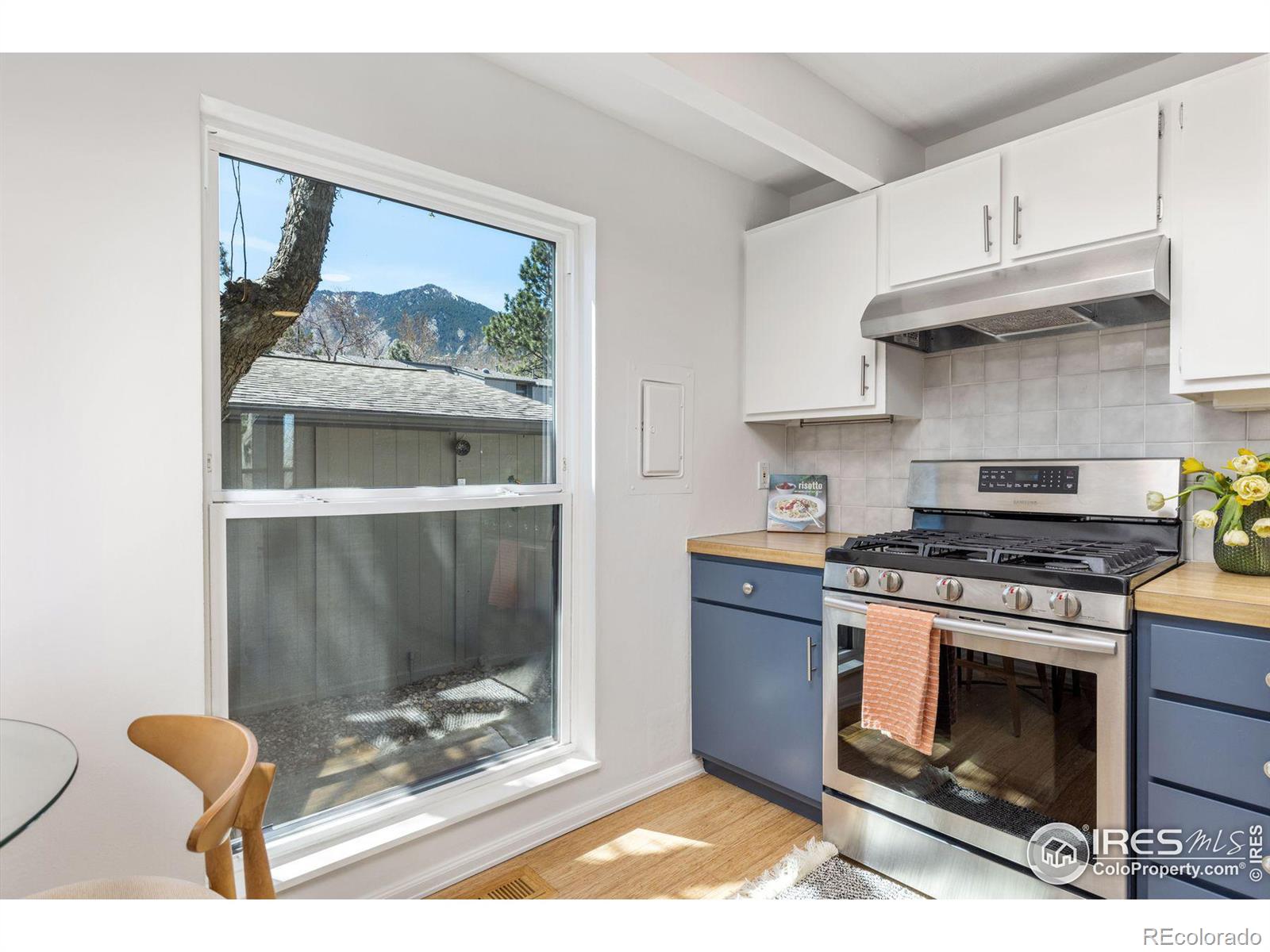 MLS Image #10 for 1385  bear mountain drive,boulder, Colorado