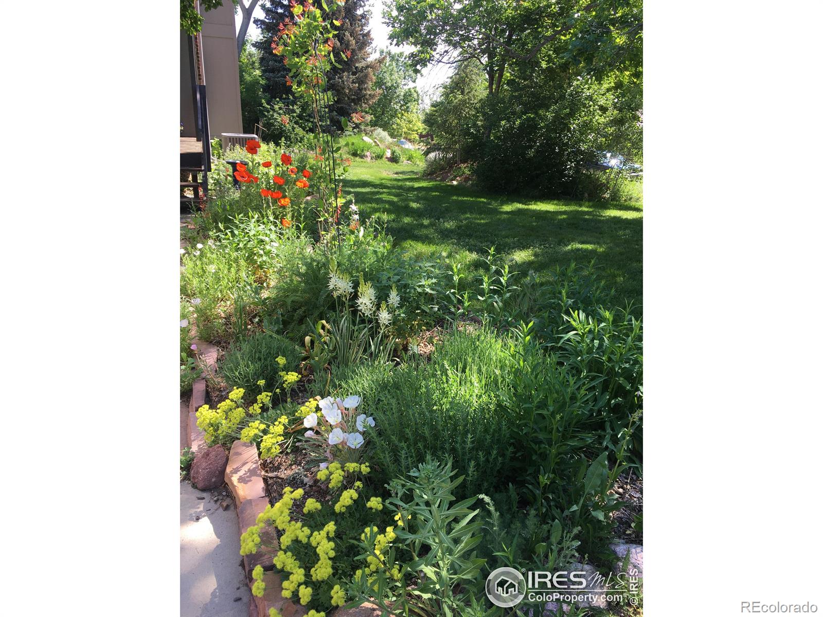 MLS Image #34 for 1385  bear mountain drive,boulder, Colorado