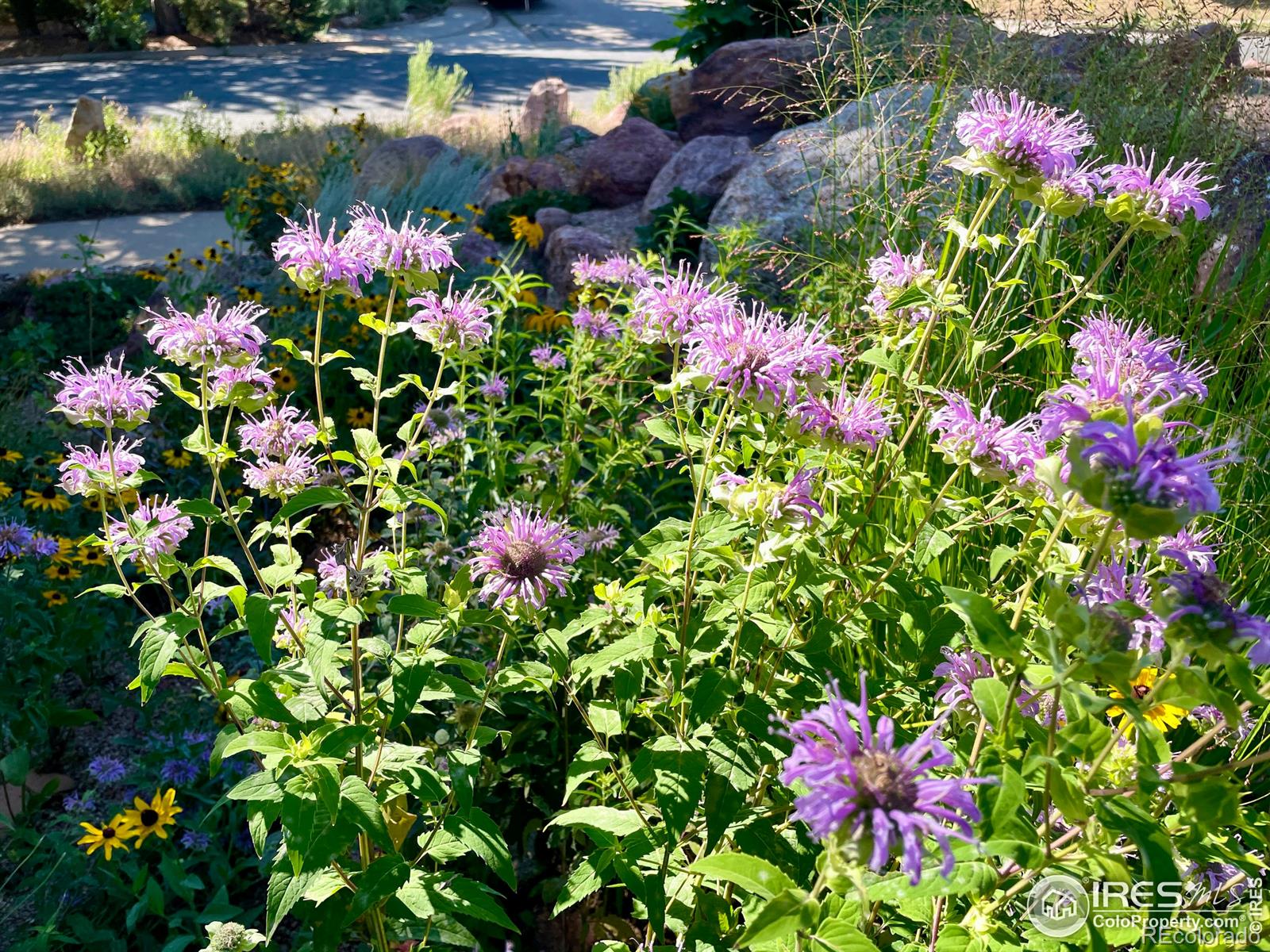 MLS Image #37 for 1385  bear mountain drive,boulder, Colorado