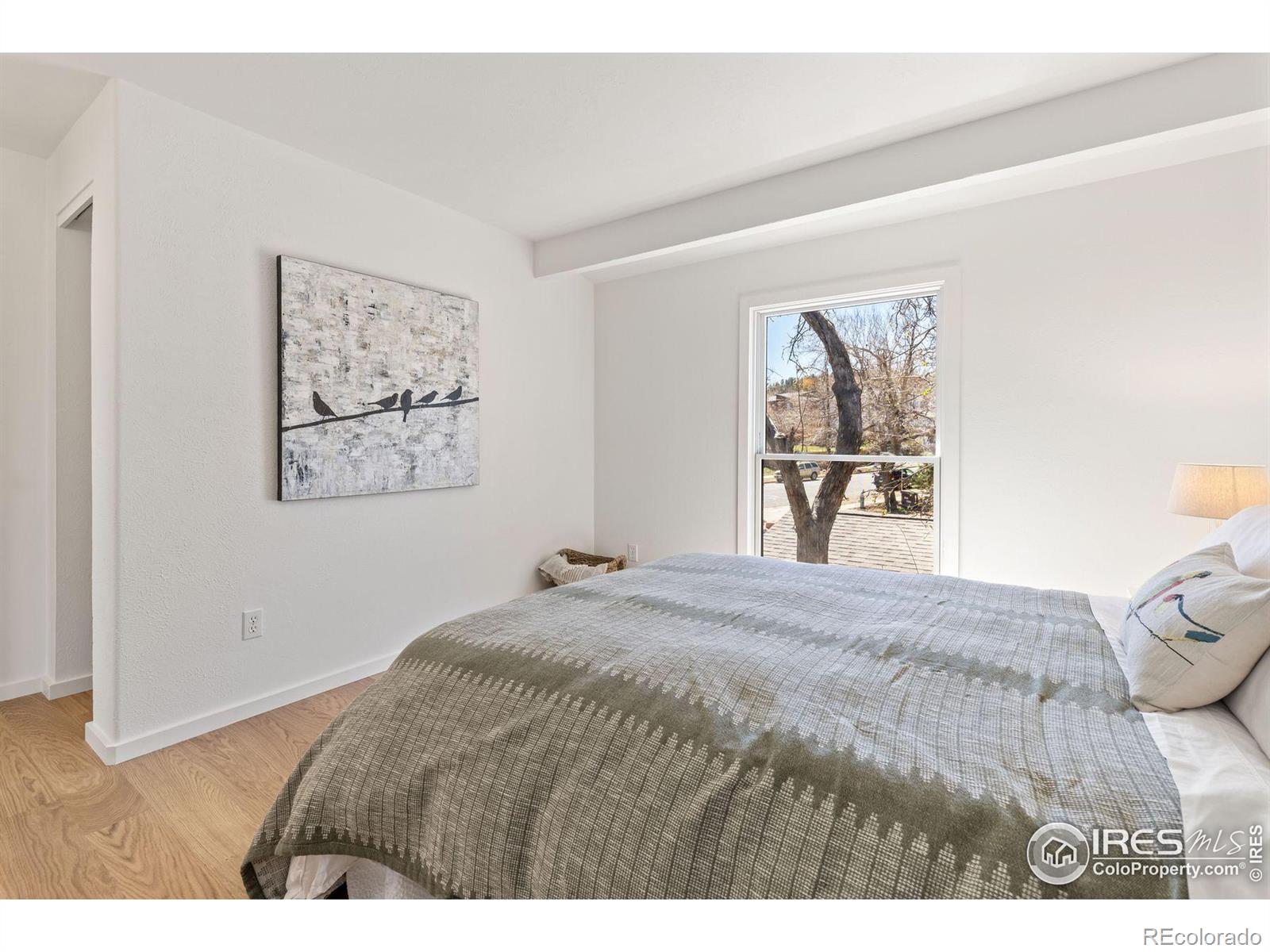 MLS Image #8 for 1385  bear mountain drive,boulder, Colorado