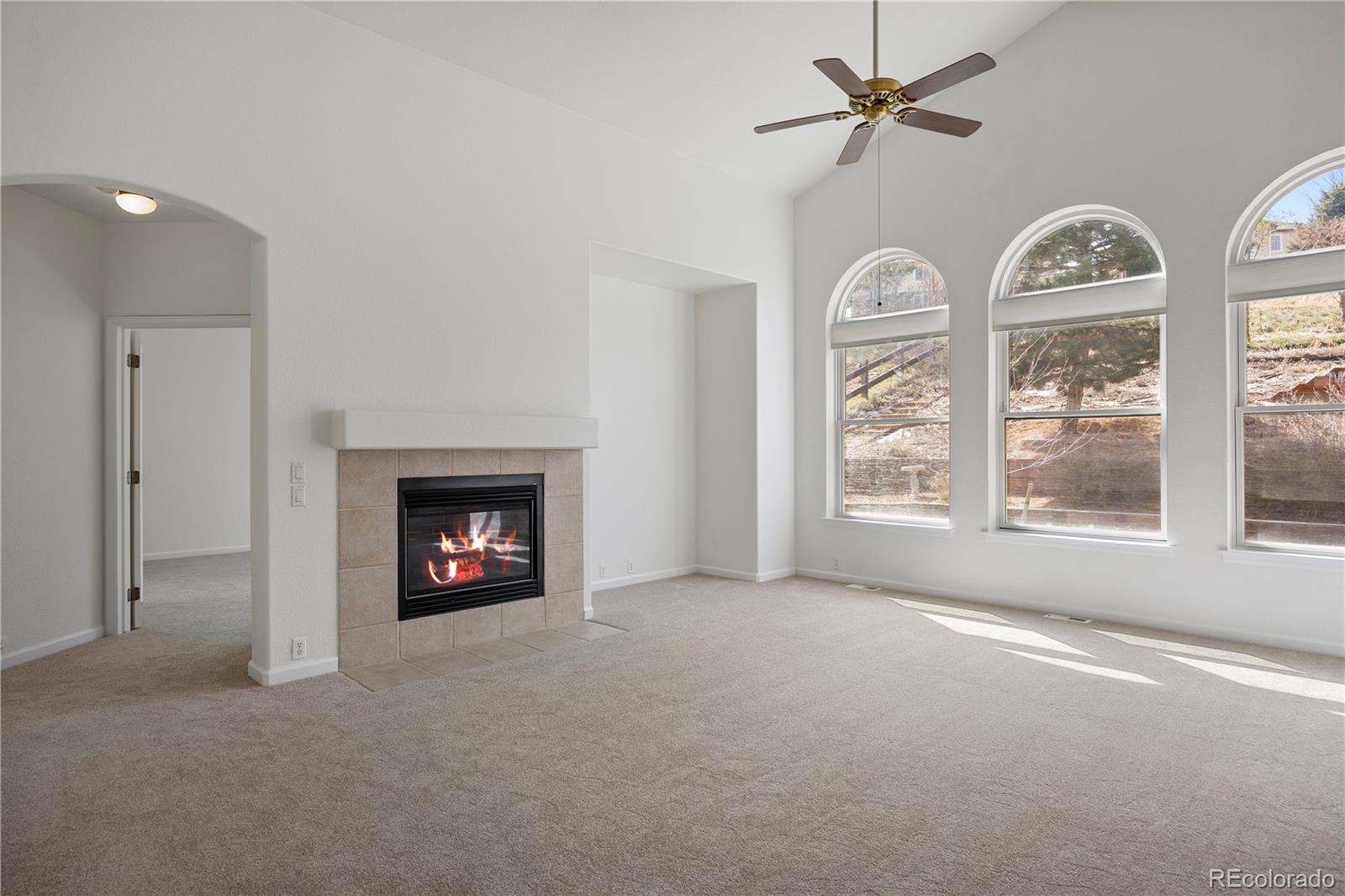 MLS Image #5 for 23420 e maple hills avenue,parker, Colorado