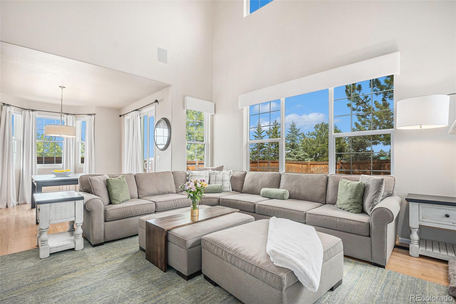 MLS Image #12 for 2470  robindale way,castle rock, Colorado