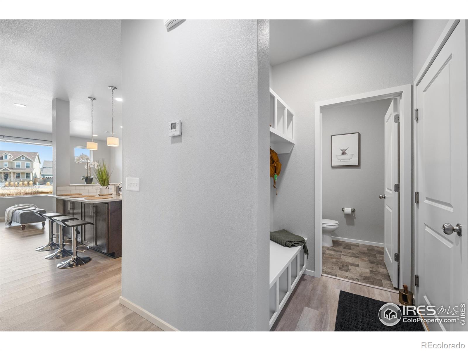 MLS Image #10 for 411  skyraider way,fort collins, Colorado