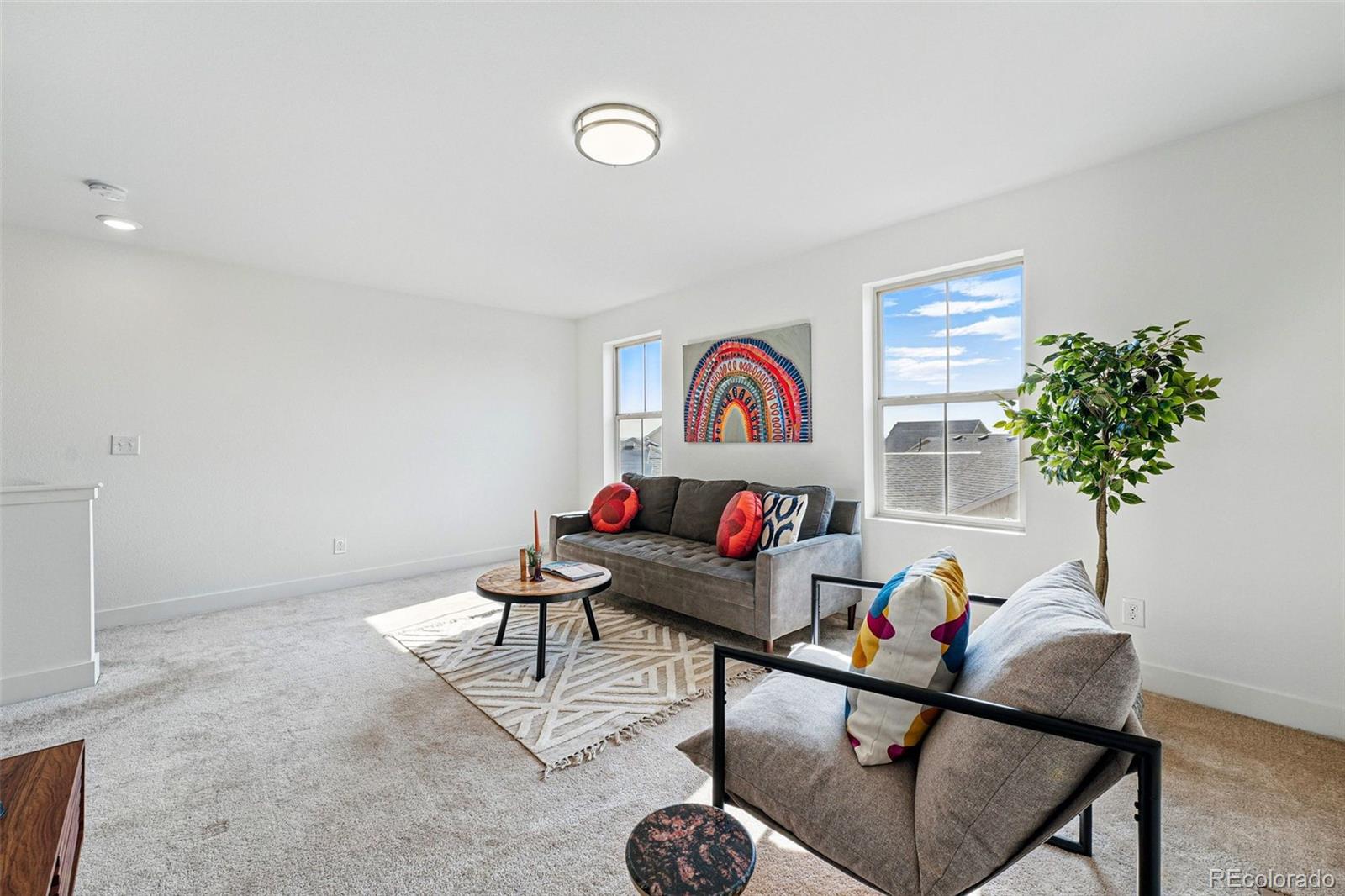 MLS Image #21 for 10123  zeno street,commerce city, Colorado