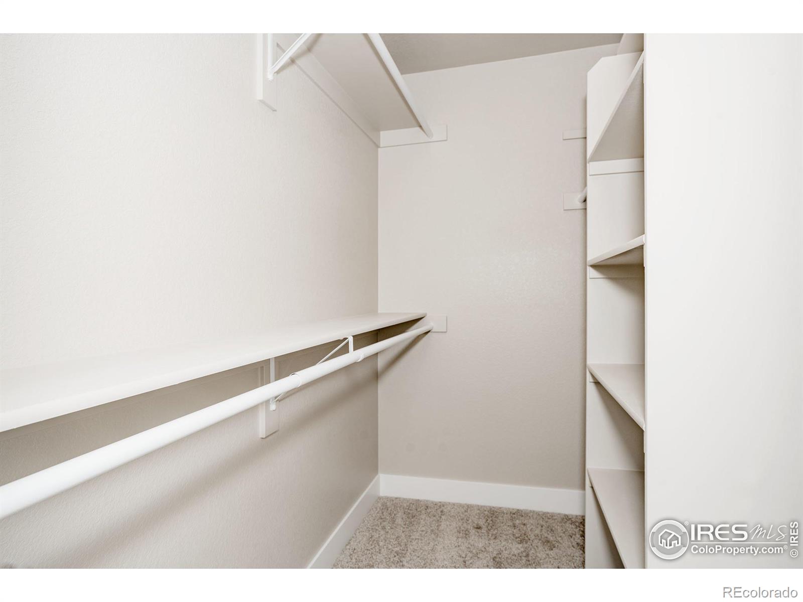 MLS Image #16 for 474  primrose court,loveland, Colorado