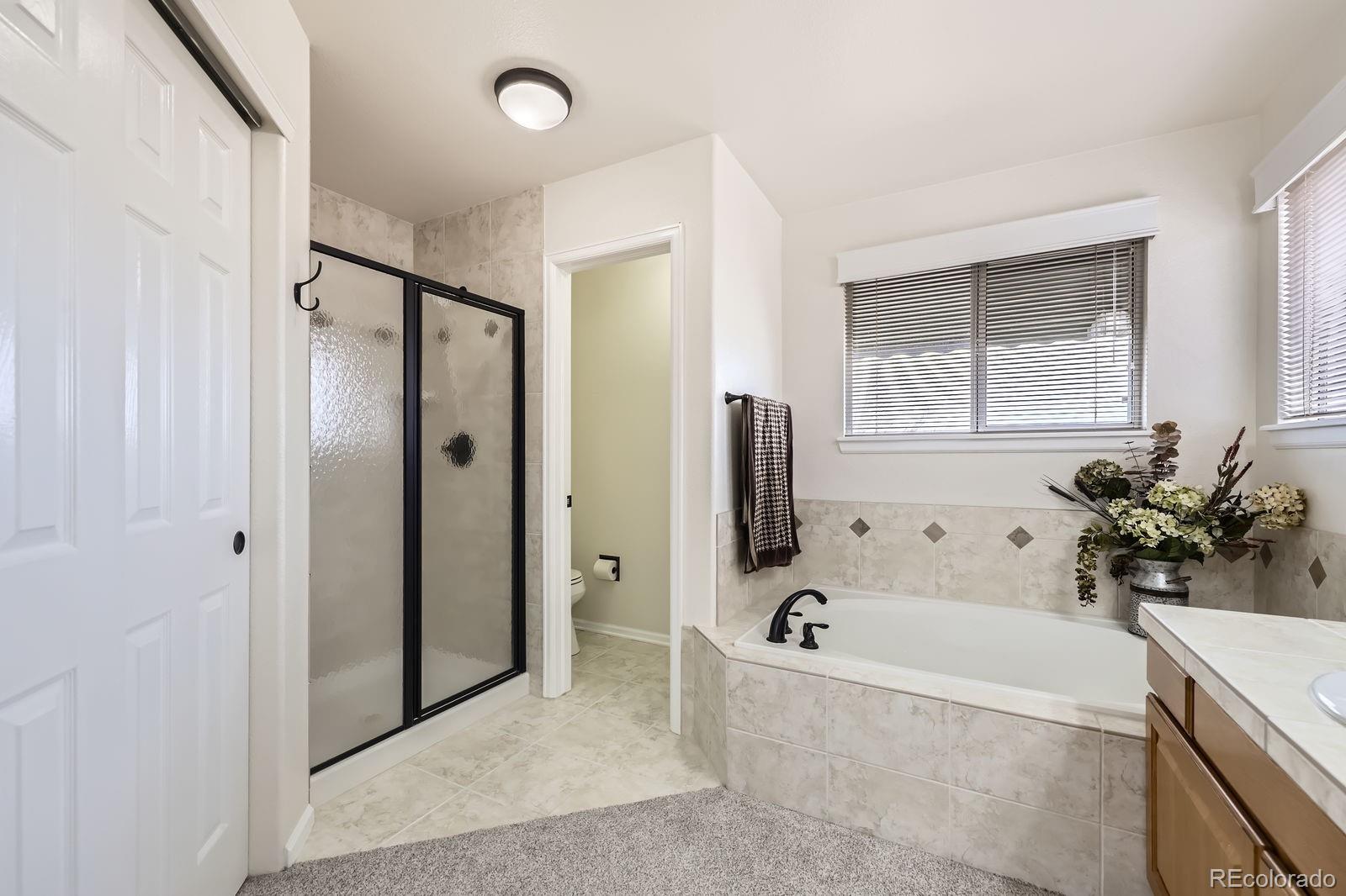 MLS Image #19 for 1525 e 133rd avenue,thornton, Colorado