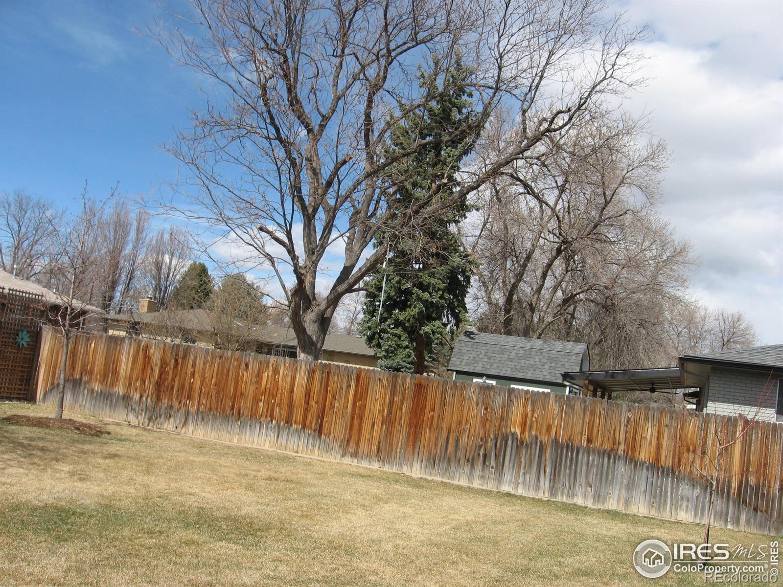 MLS Image #7 for 1909 n estrella avenue,loveland, Colorado