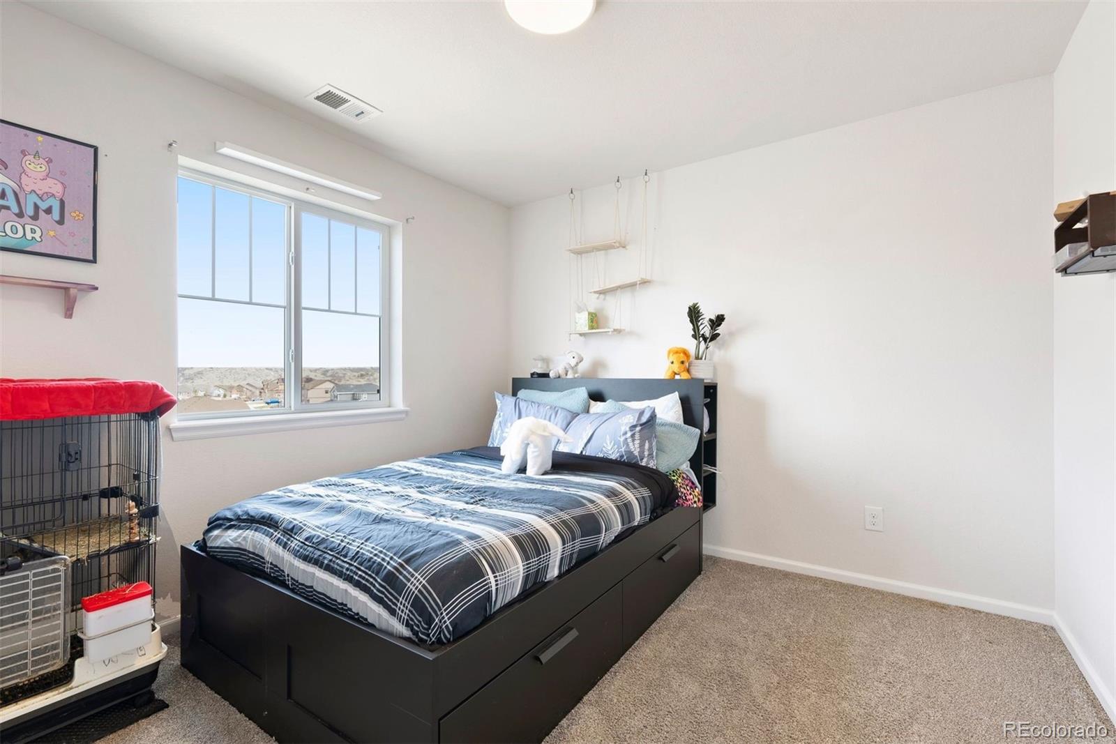 MLS Image #29 for 5998  berry ridge way,castle rock, Colorado