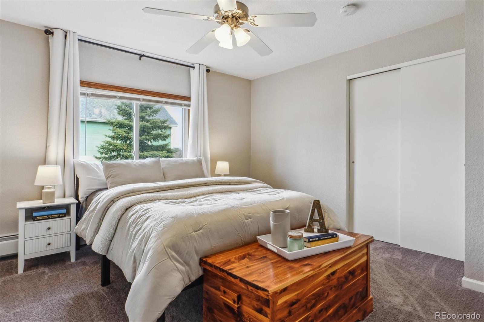 MLS Image #10 for 176 w elm street,elizabeth, Colorado