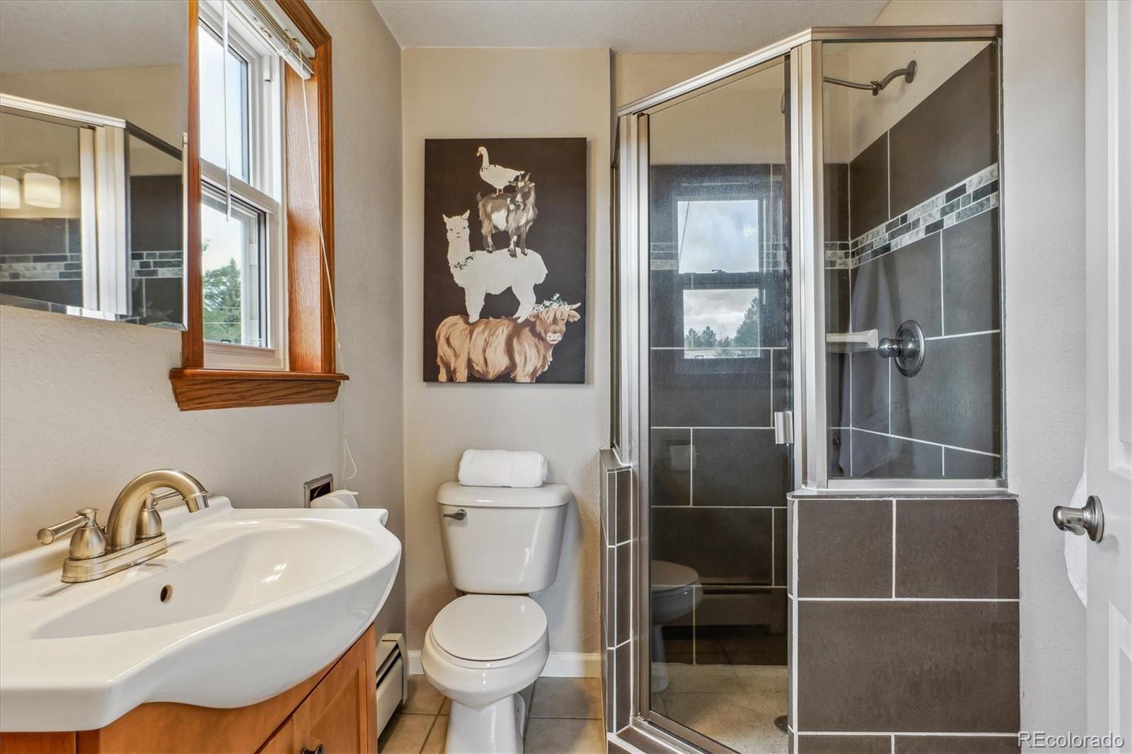 MLS Image #16 for 176 w elm street,elizabeth, Colorado