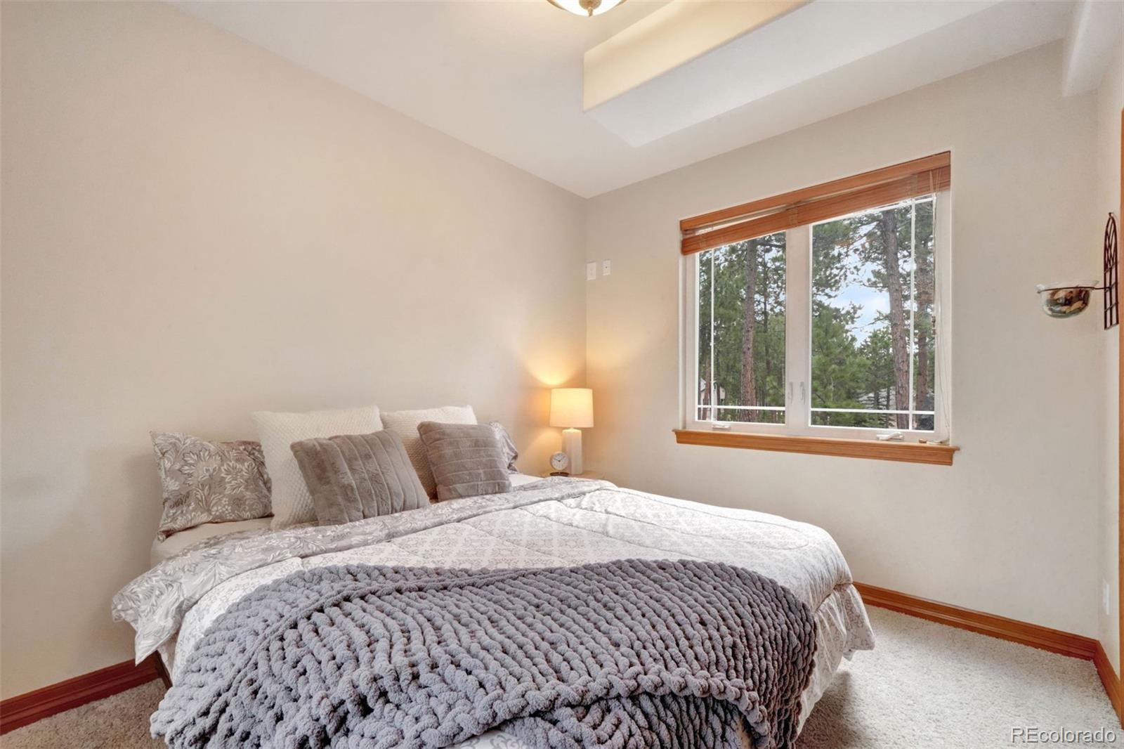 MLS Image #29 for 1656  goldpeak court,colorado springs, Colorado