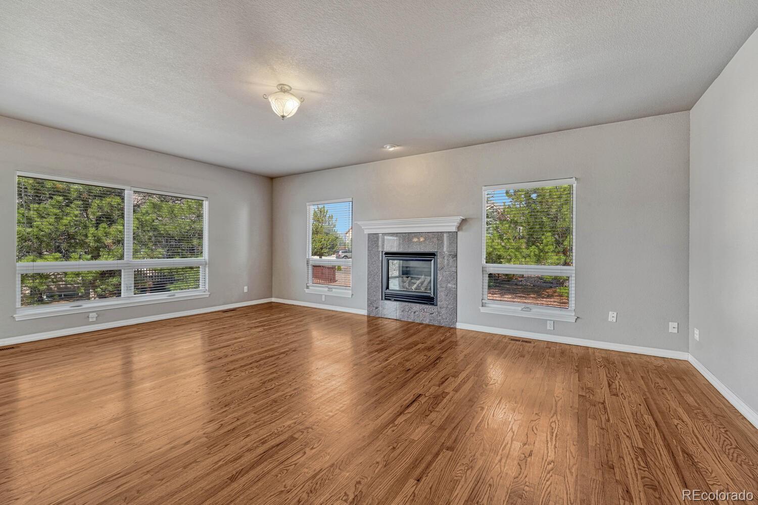 MLS Image #13 for 9918  sully court,colorado springs, Colorado