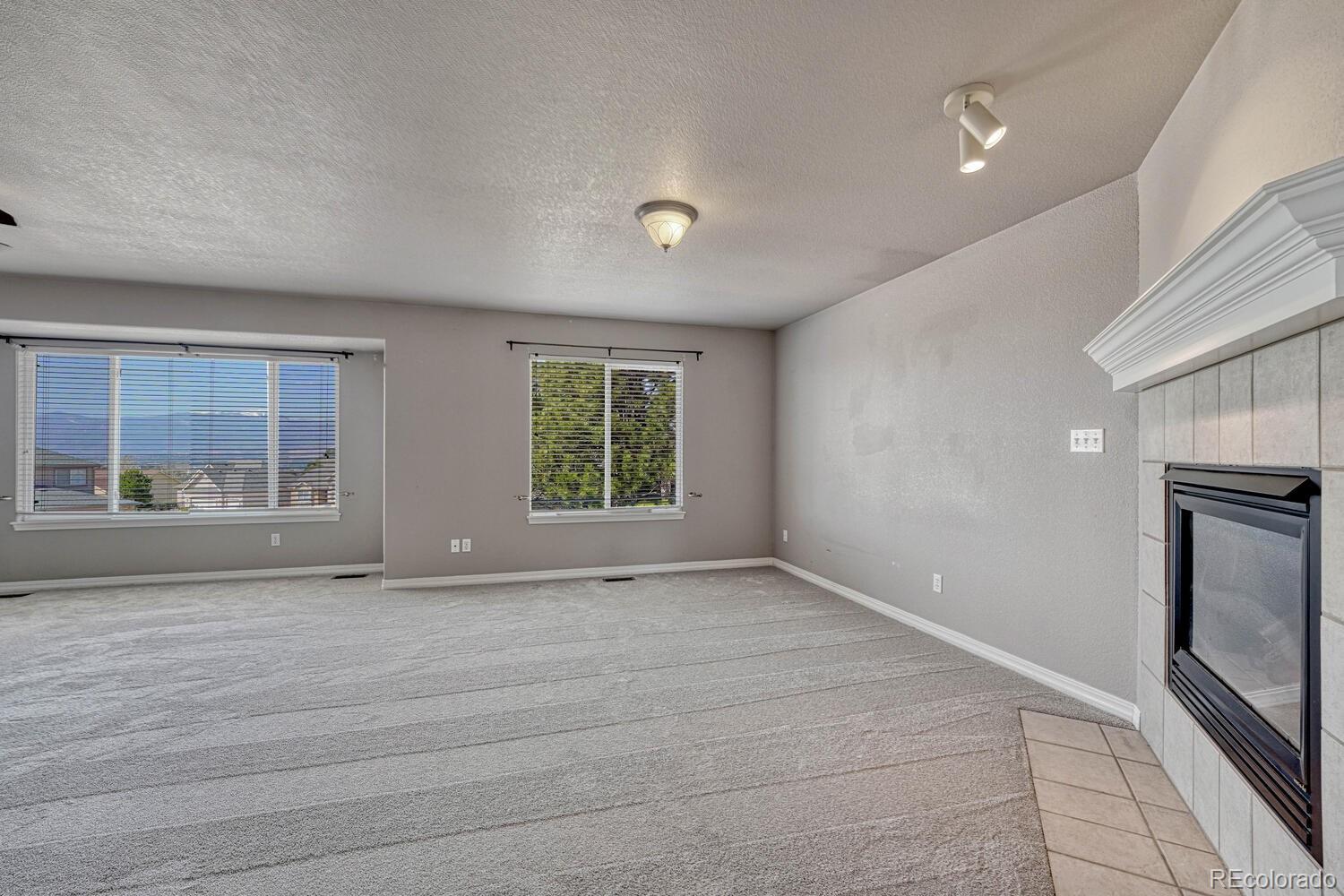 MLS Image #19 for 9918  sully court,colorado springs, Colorado