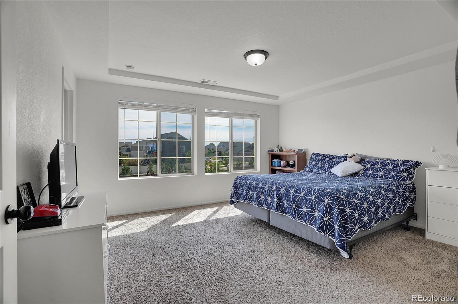MLS Image #22 for 4996  cathay court,denver, Colorado