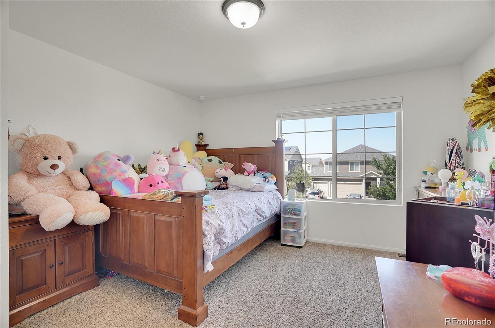 MLS Image #28 for 4996  cathay court,denver, Colorado