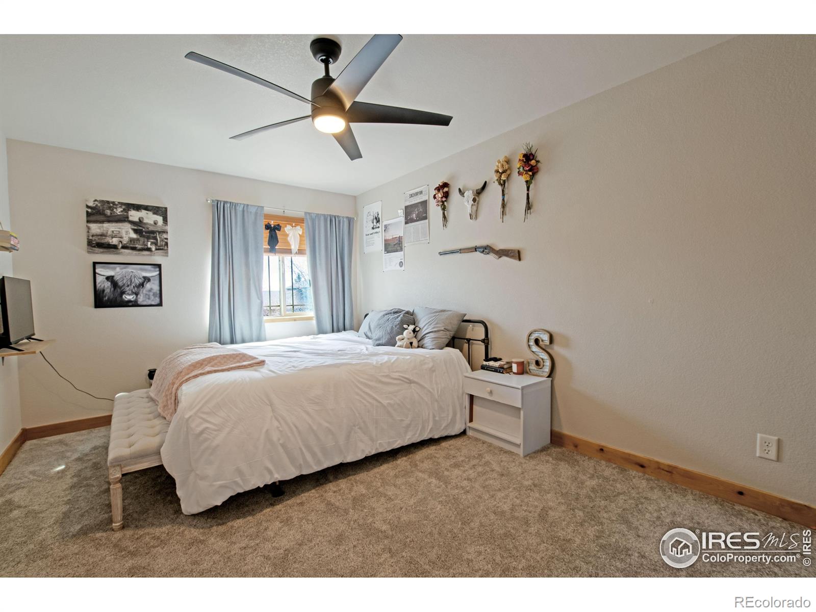 MLS Image #20 for 9087  smoke signal way,wellington, Colorado