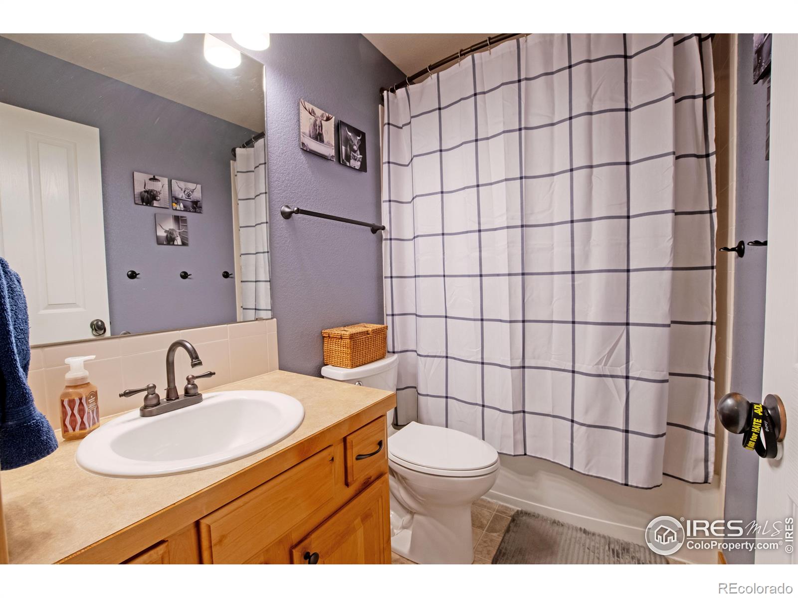 MLS Image #23 for 9087  smoke signal way,wellington, Colorado