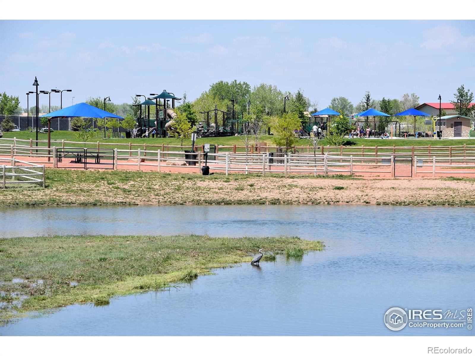 MLS Image #36 for 9087  smoke signal way,wellington, Colorado