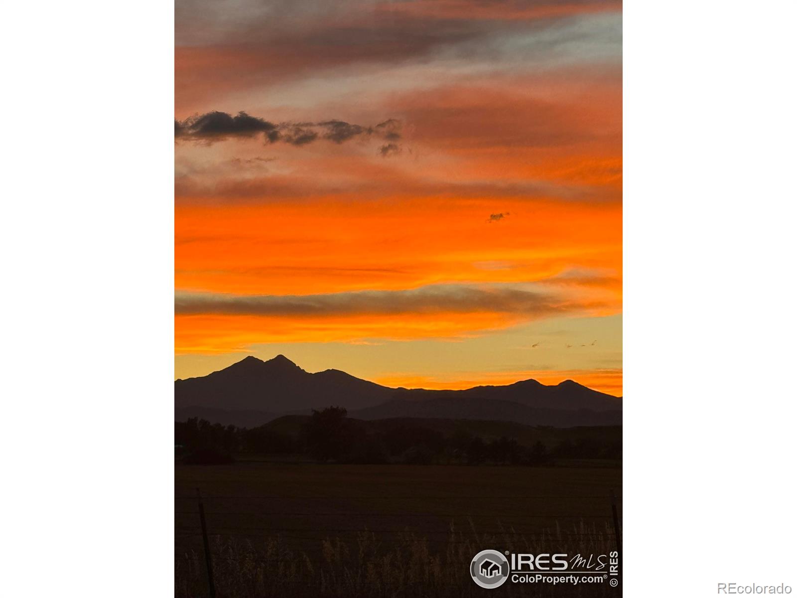 MLS Image #38 for 9400  mitchell court,longmont, Colorado