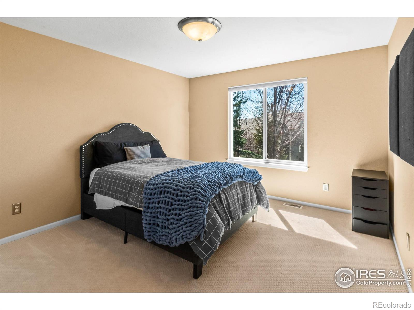 MLS Image #23 for 4532  foothills drive,loveland, Colorado