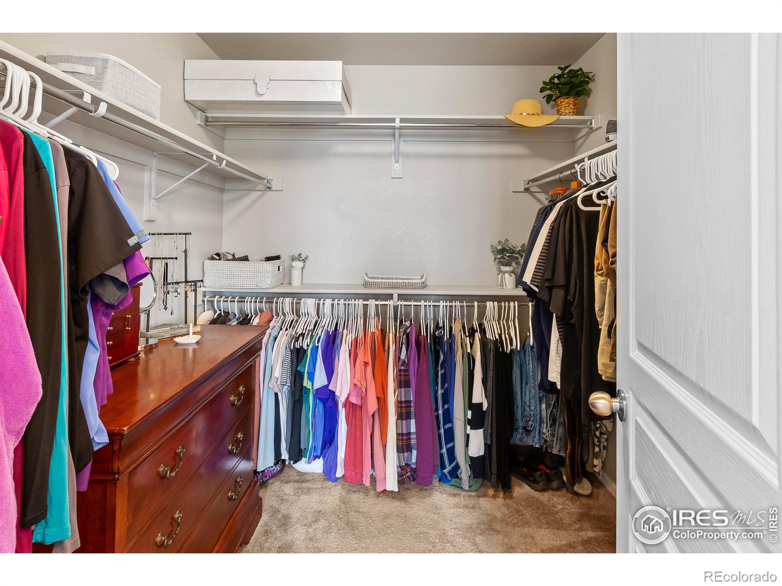 MLS Image #20 for 6421  tuxedo park road,timnath, Colorado