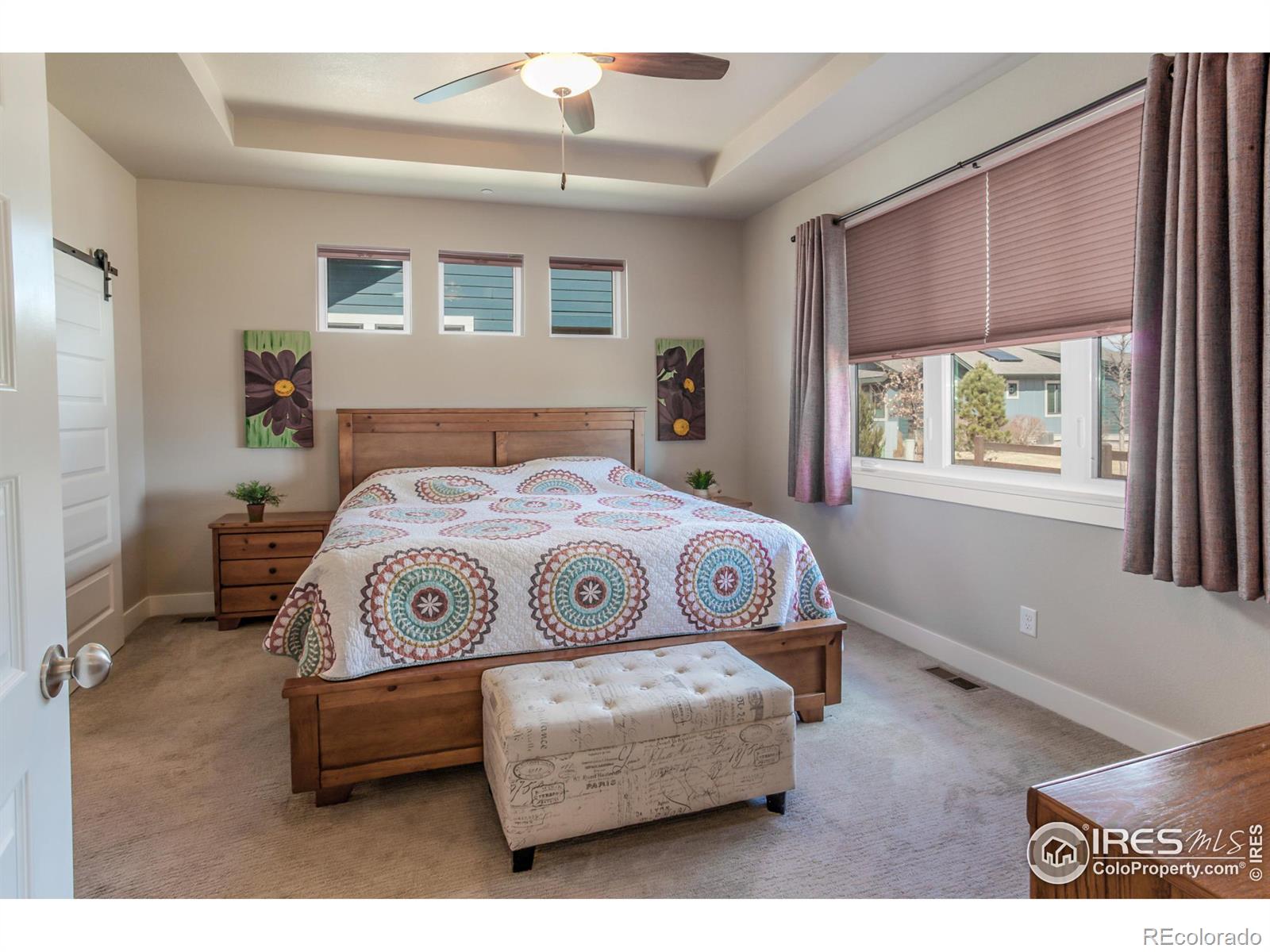 MLS Image #17 for 7008  foxton court,timnath, Colorado