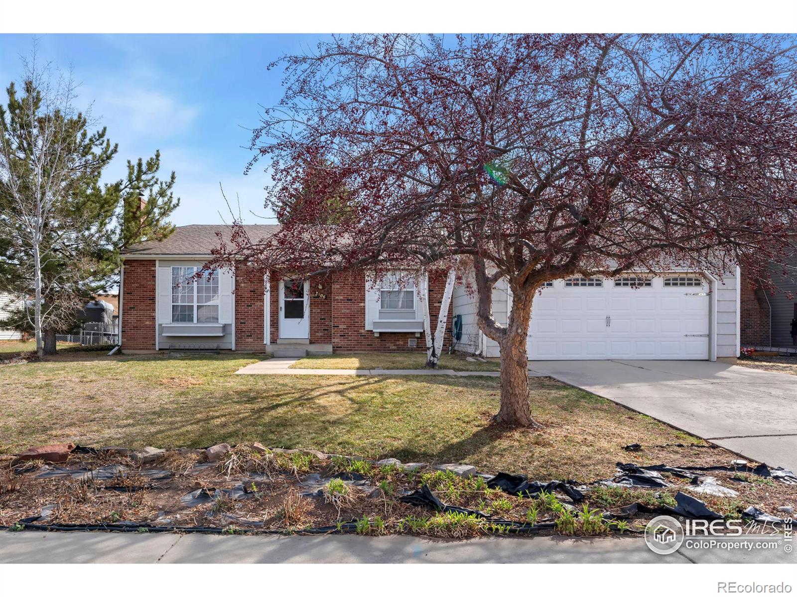 CMA Image for 3906  ash avenue,Loveland, Colorado