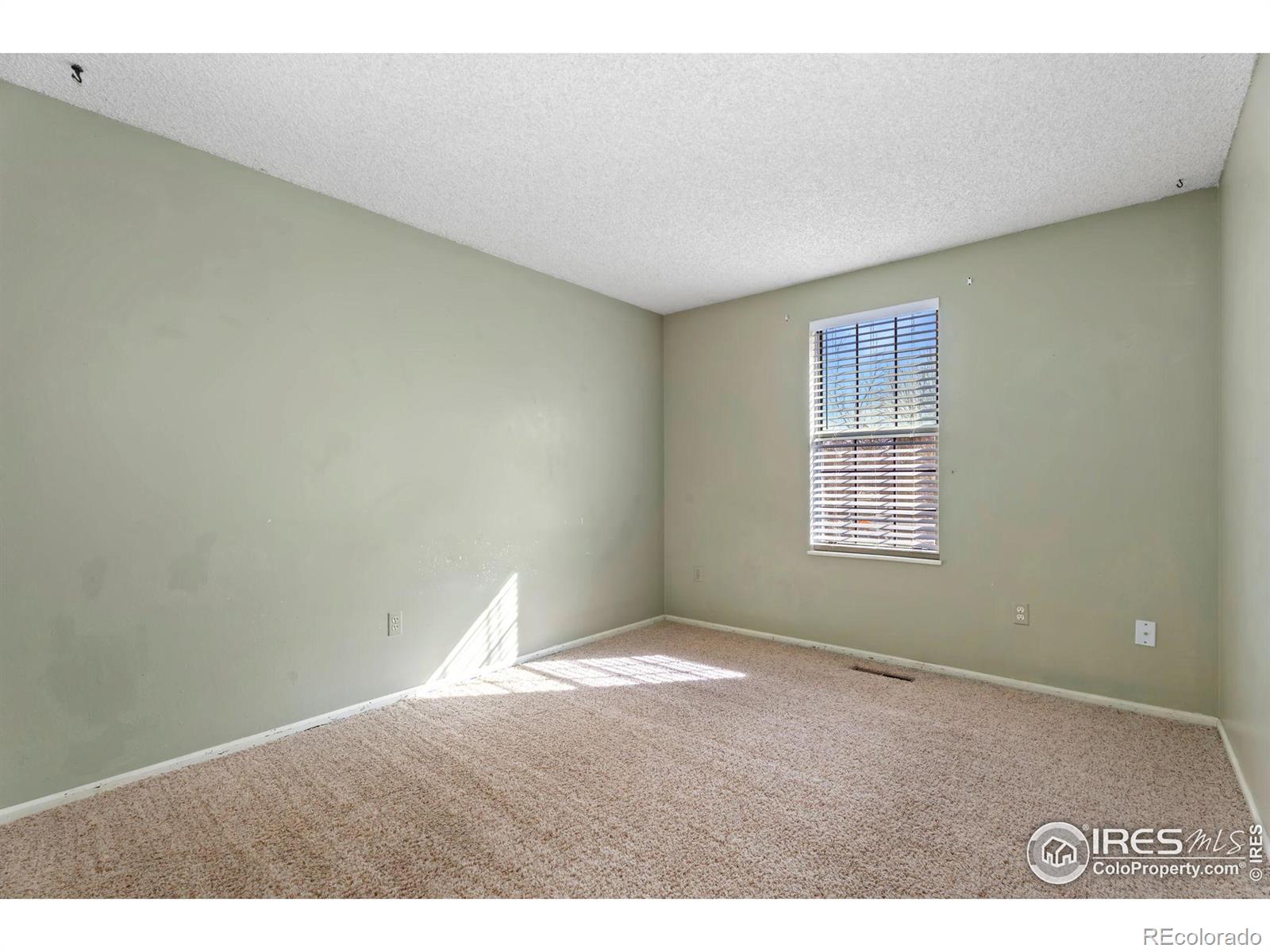 MLS Image #10 for 3906  ash avenue,loveland, Colorado