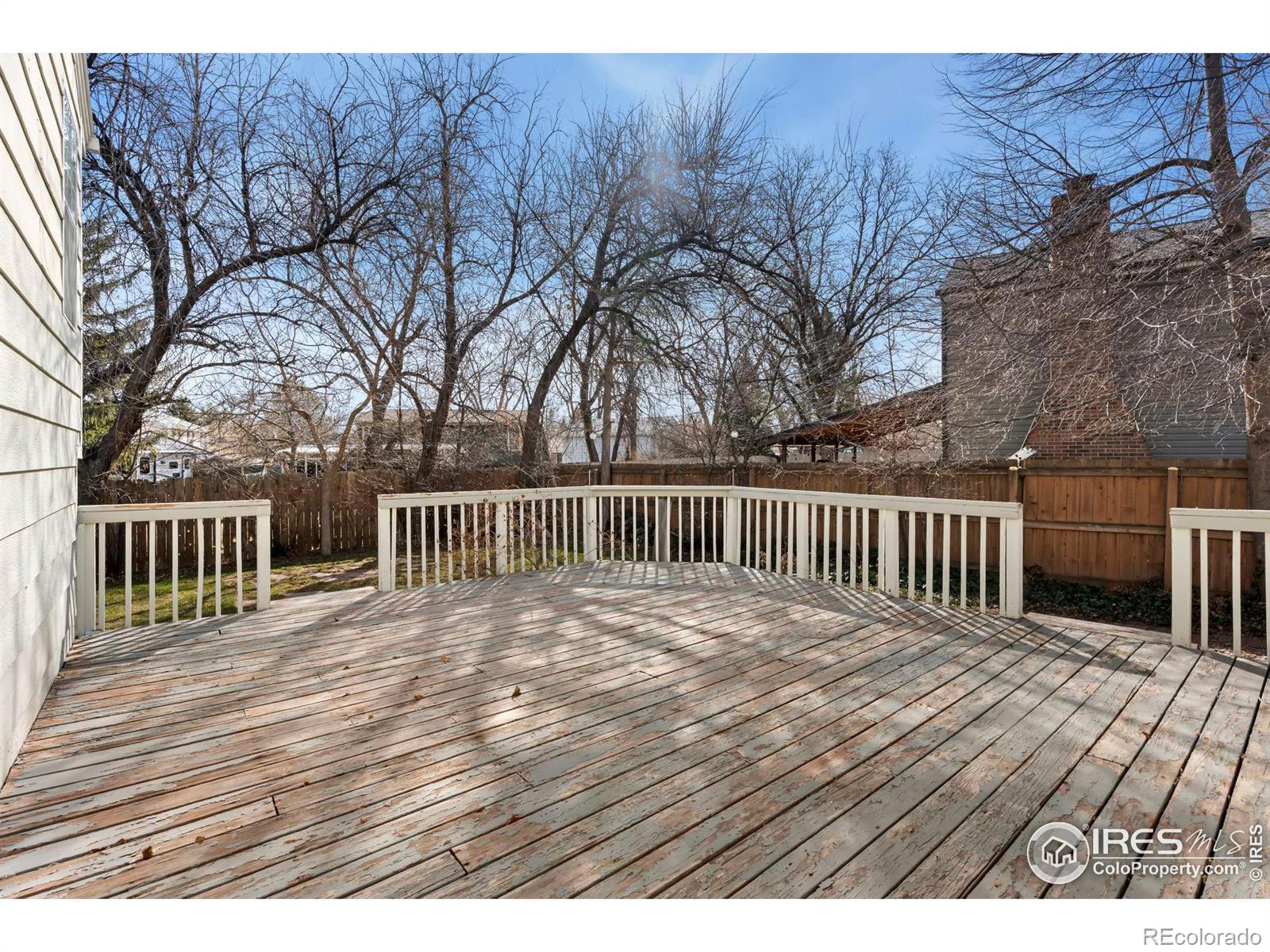 MLS Image #18 for 3906  ash avenue,loveland, Colorado