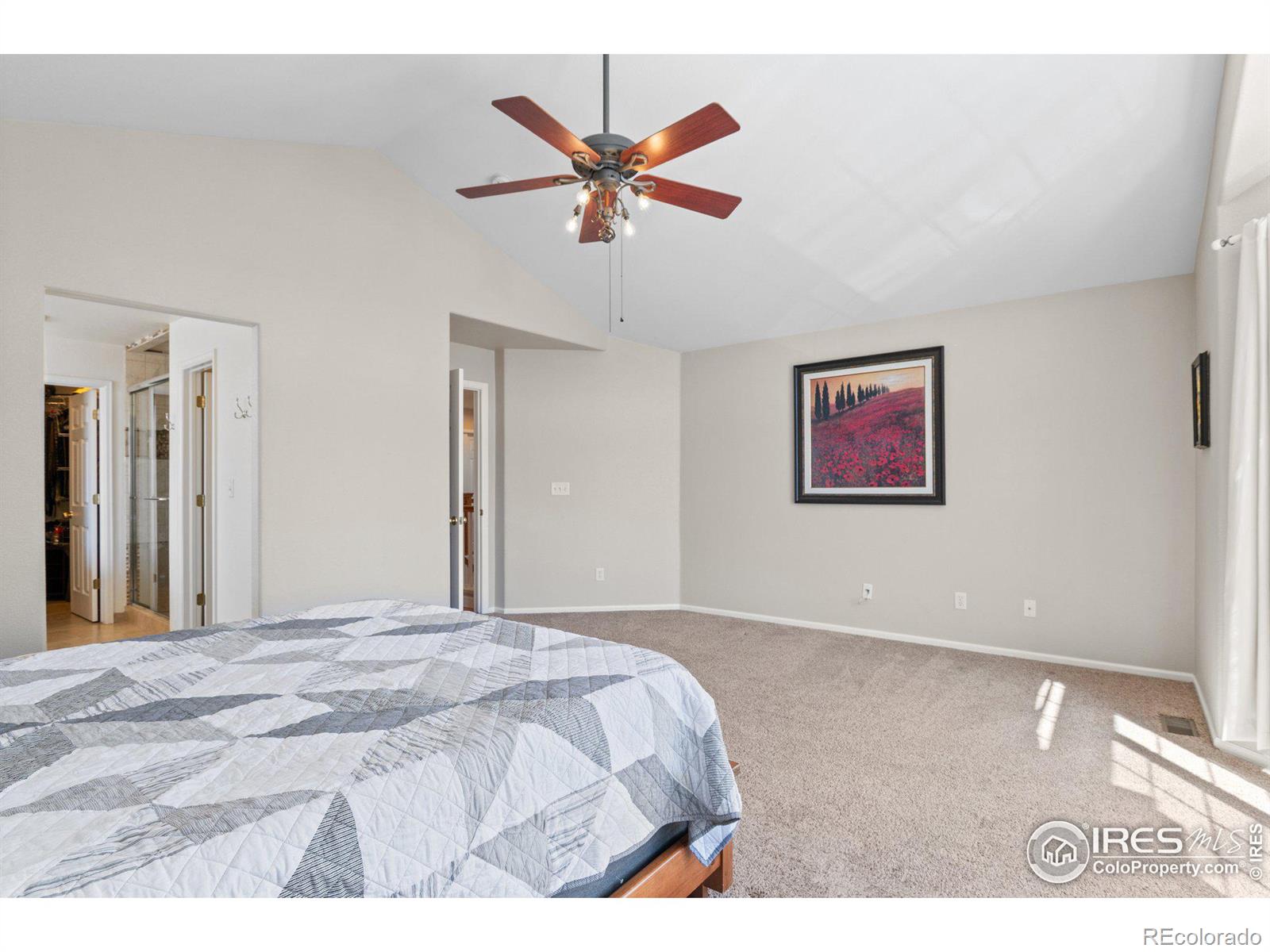 MLS Image #21 for 13723  milwaukee court,thornton, Colorado