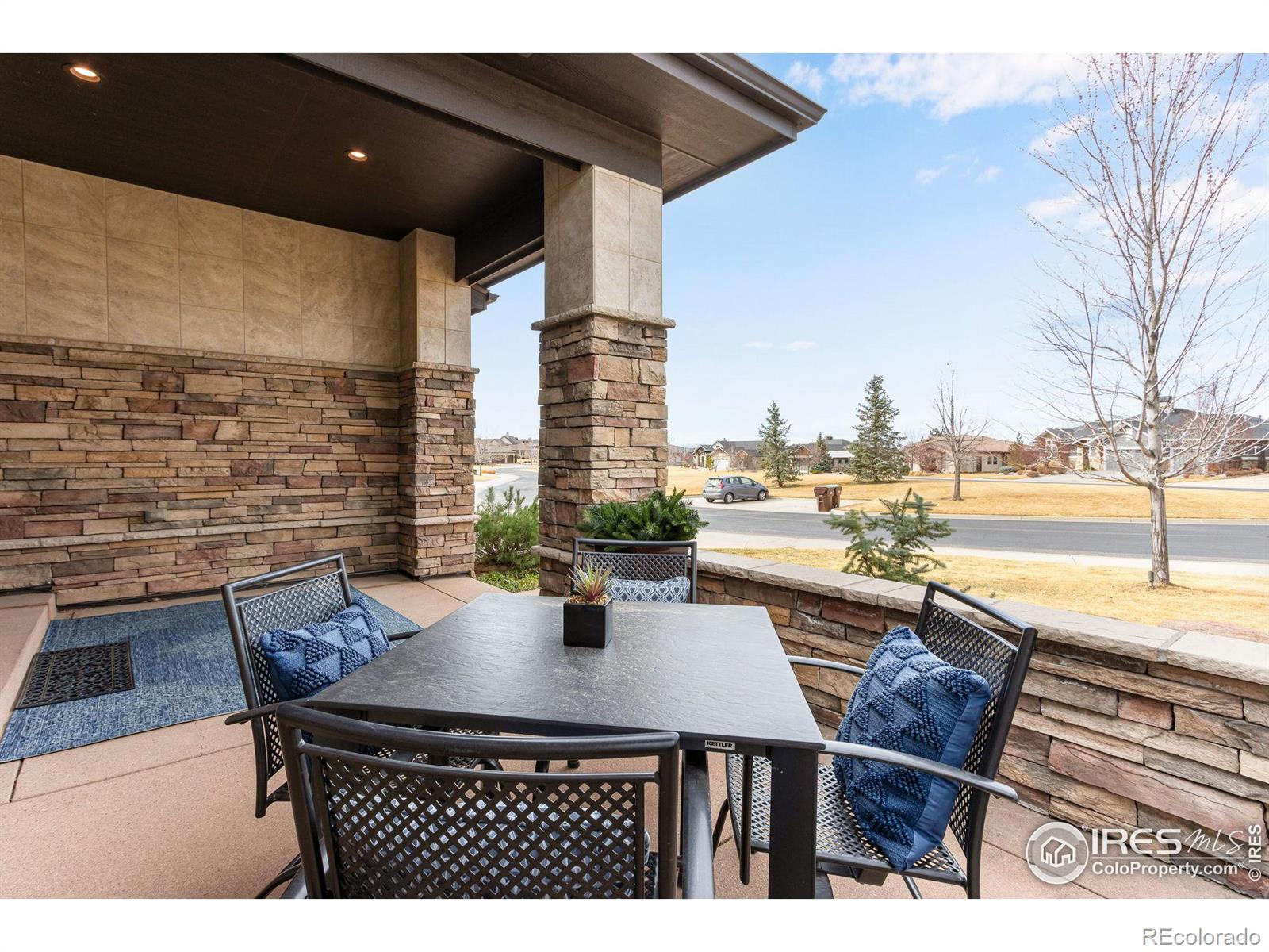 MLS Image #3 for 6973  alister lane,timnath, Colorado