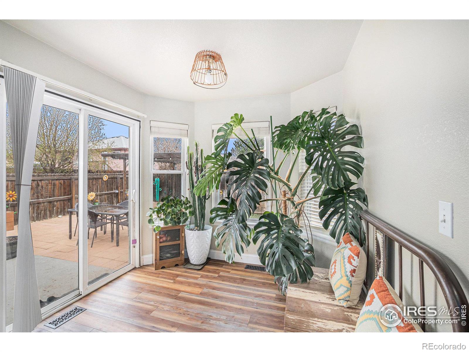 MLS Image #10 for 506  vivian street,severance, Colorado