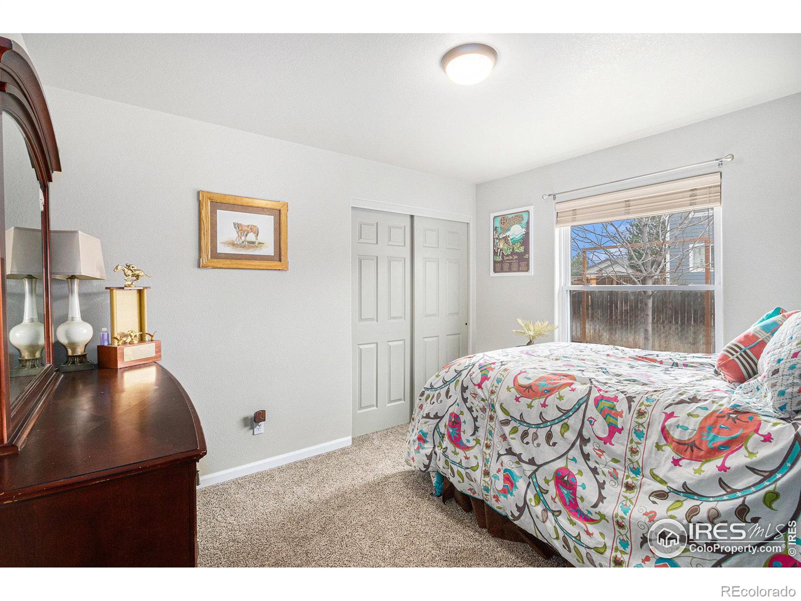 MLS Image #17 for 506  vivian street,severance, Colorado