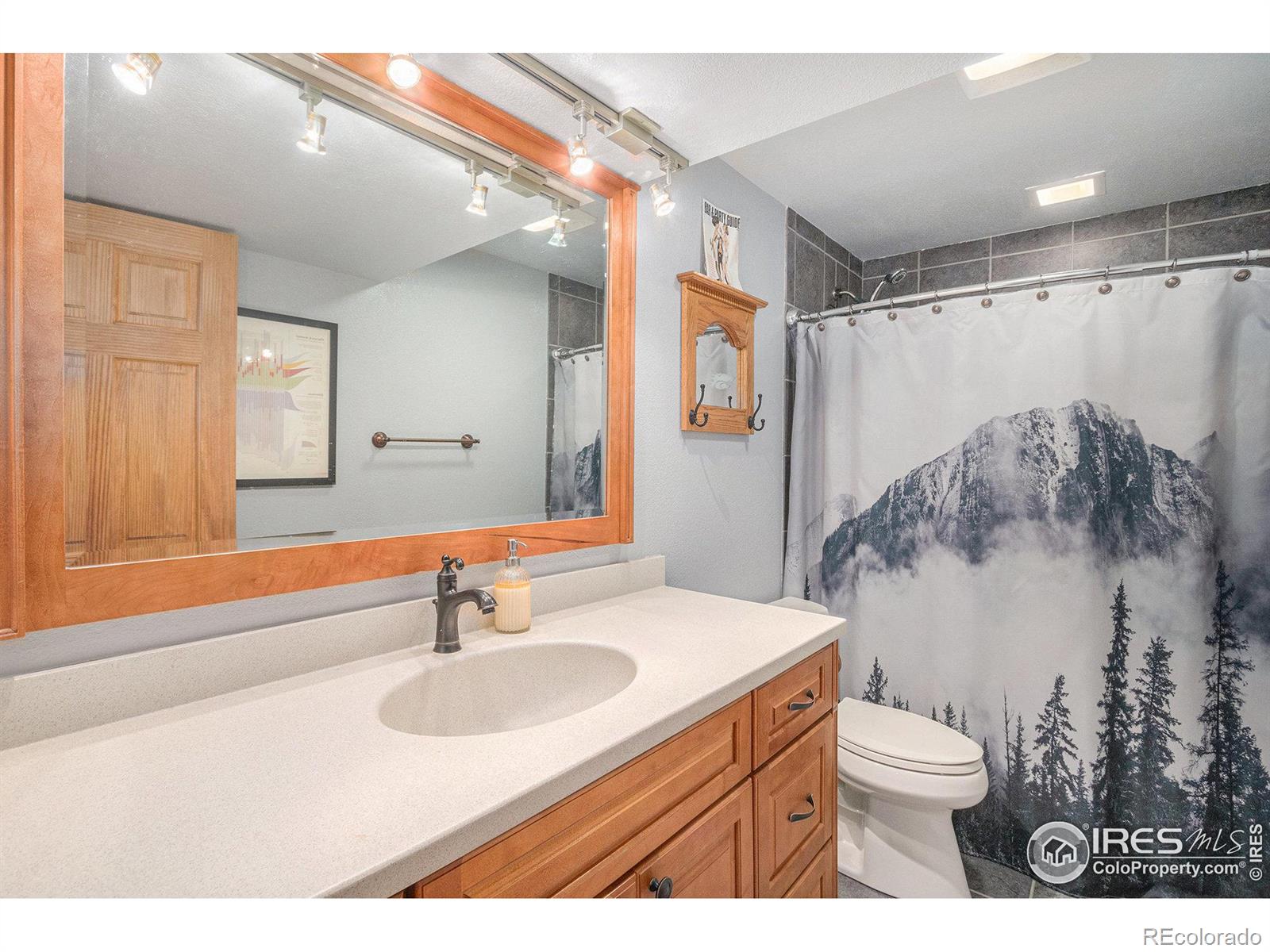 MLS Image #24 for 506  vivian street,severance, Colorado
