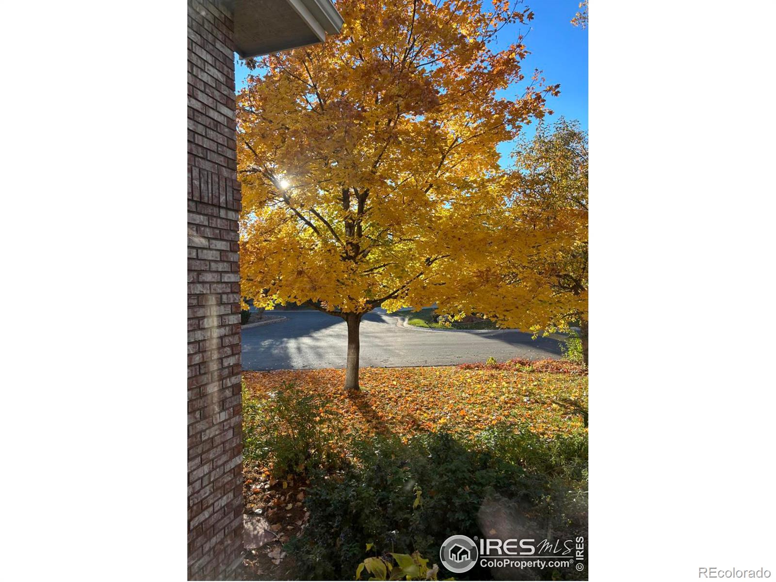 MLS Image #3 for 543  manorwood lane,louisville, Colorado