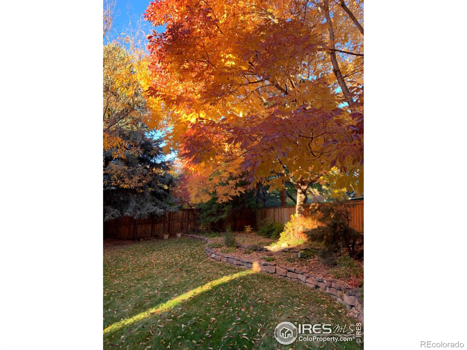 MLS Image #36 for 543  manorwood lane,louisville, Colorado