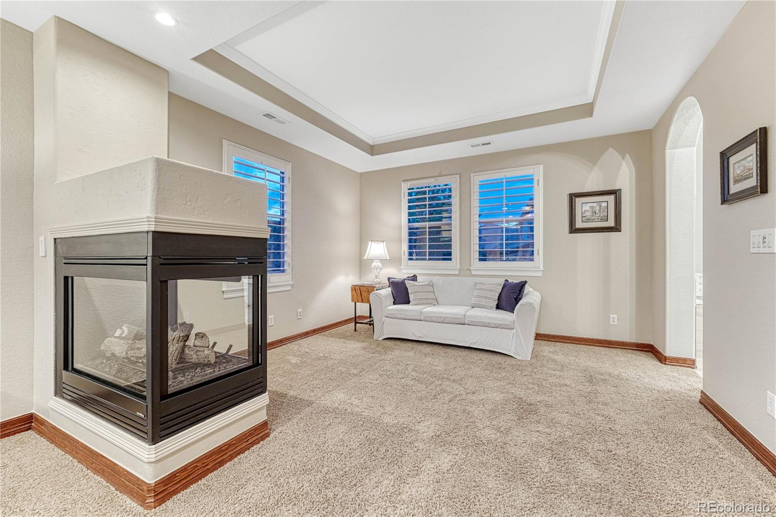MLS Image #22 for 10459  rivington court,lone tree, Colorado