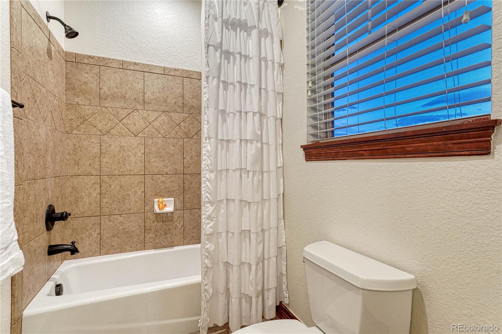 MLS Image #30 for 10459  rivington court,lone tree, Colorado
