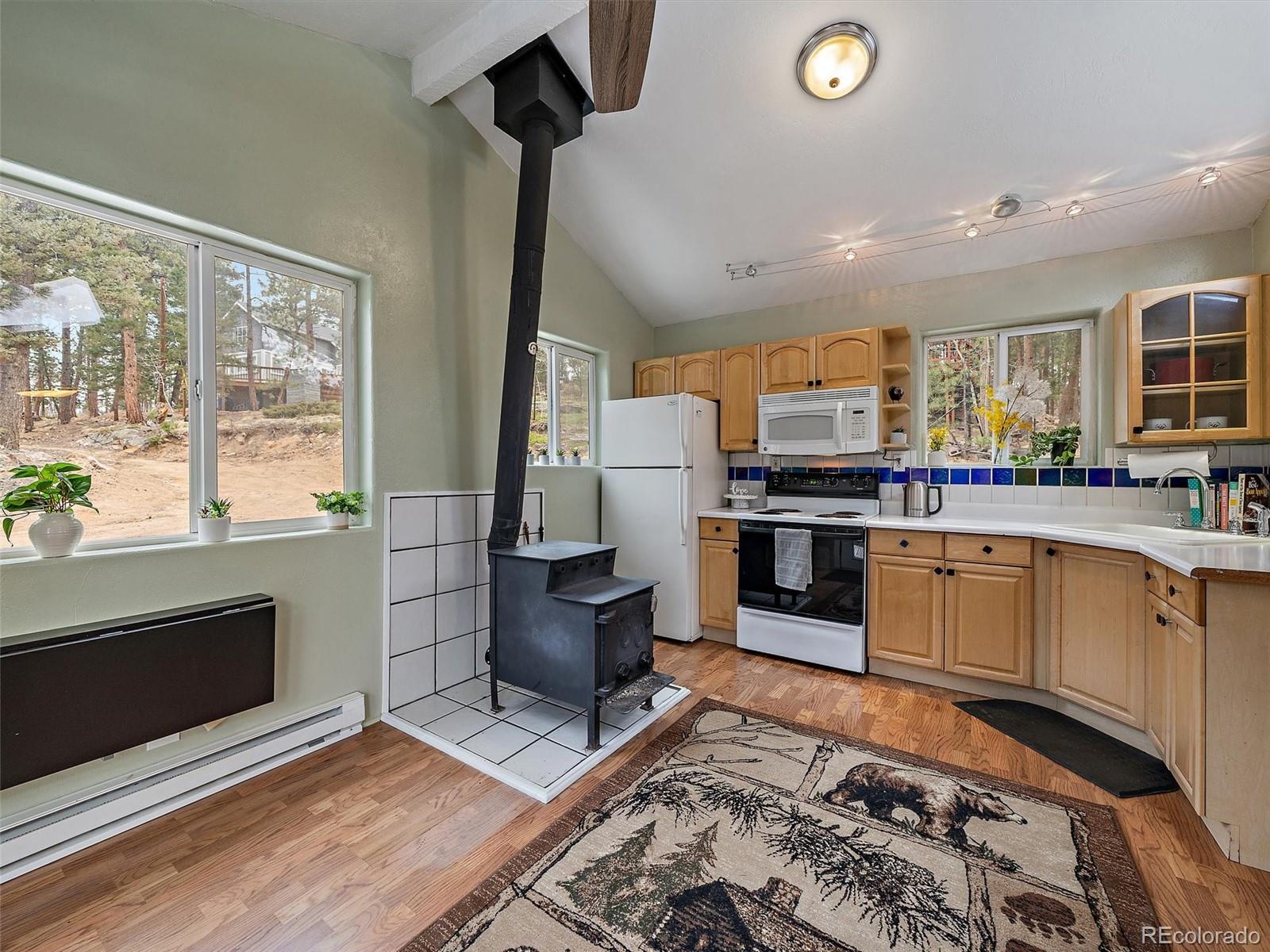 MLS Image #12 for 26349  pleasant park road,conifer, Colorado