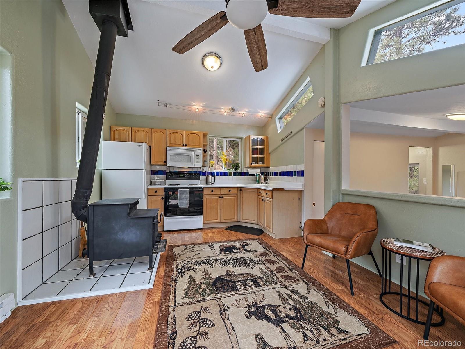 MLS Image #8 for 26349  pleasant park road,conifer, Colorado