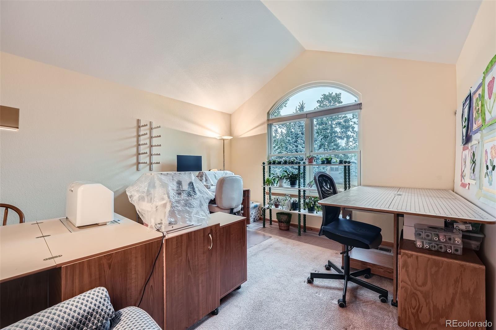 MLS Image #19 for 31190  cinnamonwood ,evergreen, Colorado