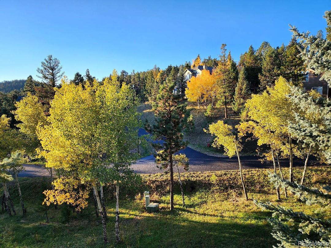 MLS Image #30 for 31190  cinnamonwood ,evergreen, Colorado