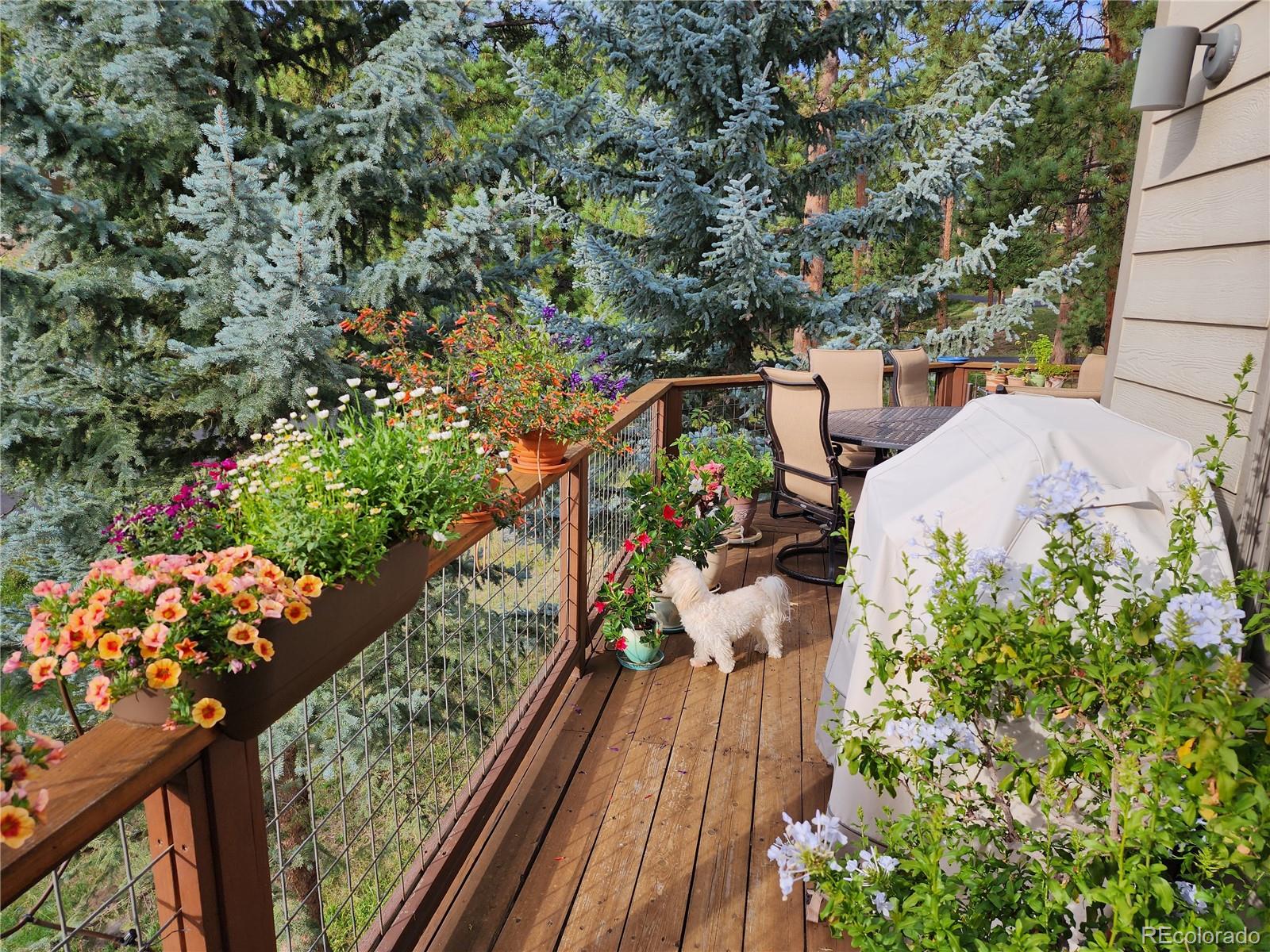 MLS Image #32 for 31190  cinnamonwood ,evergreen, Colorado