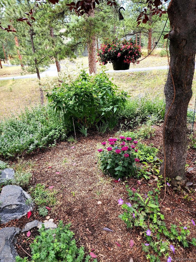 MLS Image #34 for 31190  cinnamonwood ,evergreen, Colorado