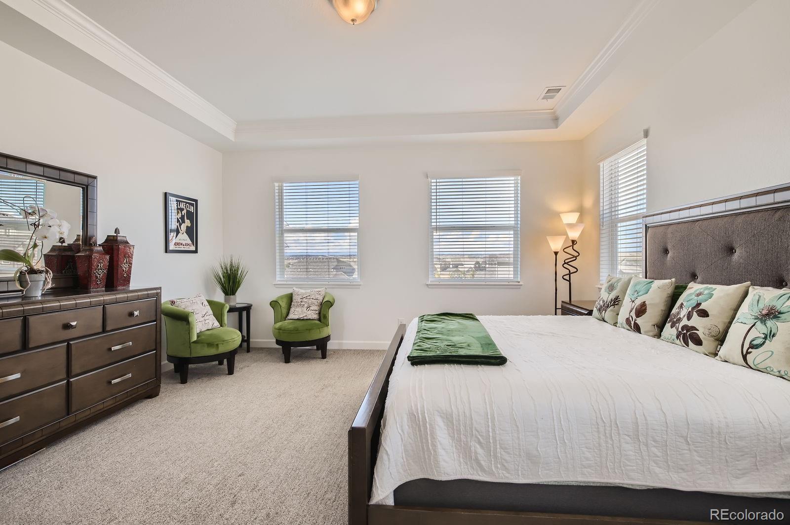 MLS Image #15 for 12953  reata ridge drive,parker, Colorado