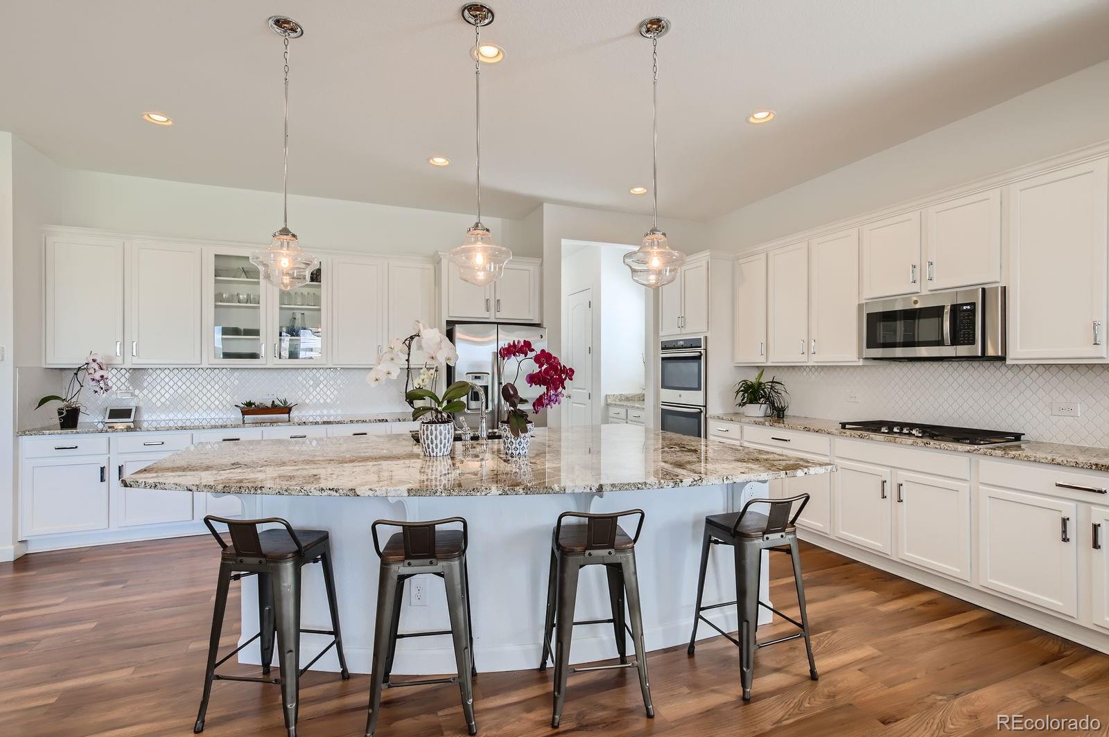 MLS Image #4 for 12953  reata ridge drive,parker, Colorado