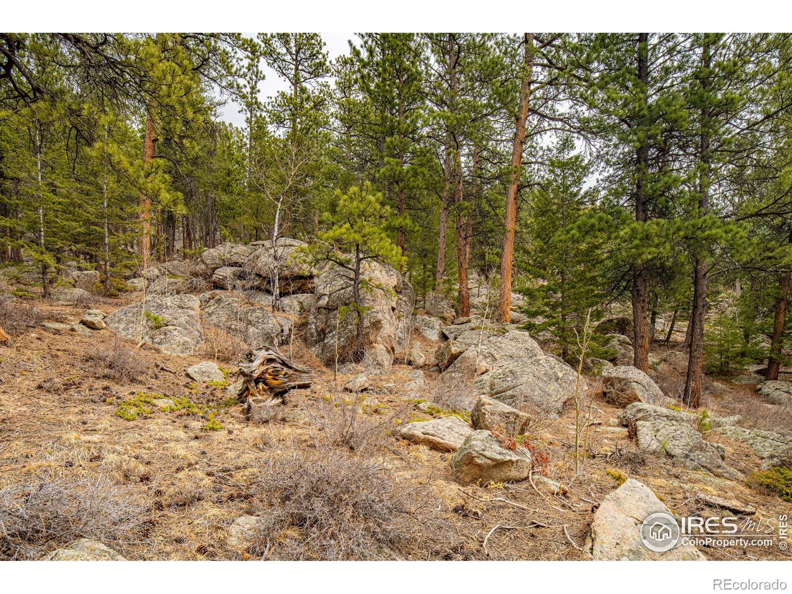 MLS Image #6 for 592  aspen drive,lyons, Colorado